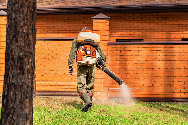 Trusted Cockroach Control service in Leadwood, MO - Nex Pest Control